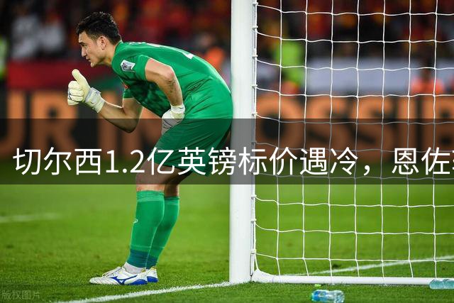 切尔西1.2亿英镑标价遇冷，恩佐转会风波告一段落