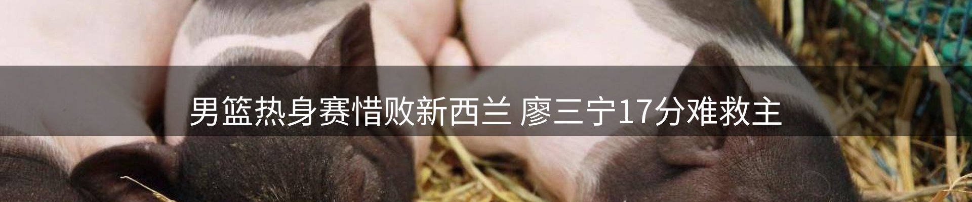 新闻中心
