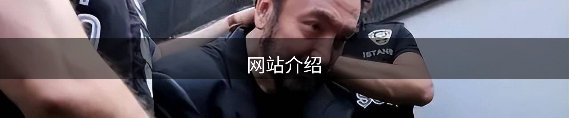 网站介绍