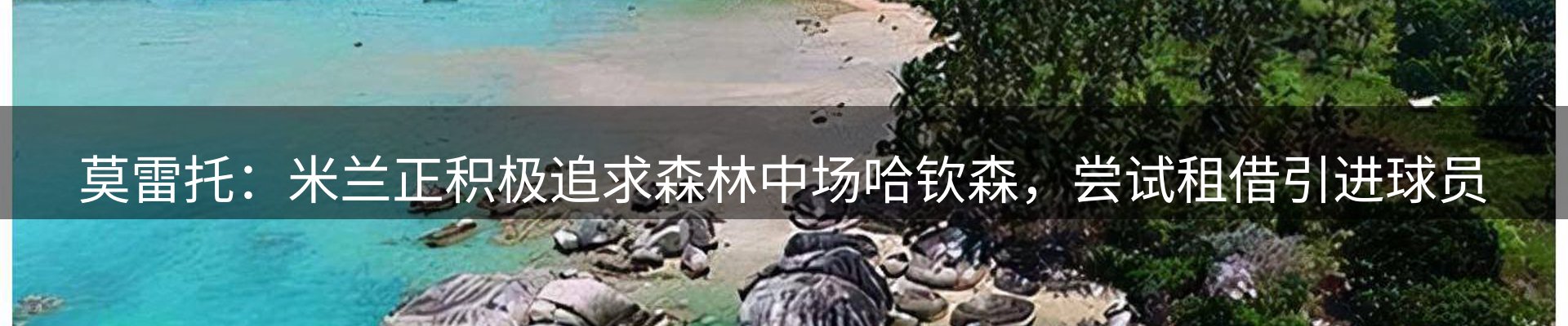 一周动态